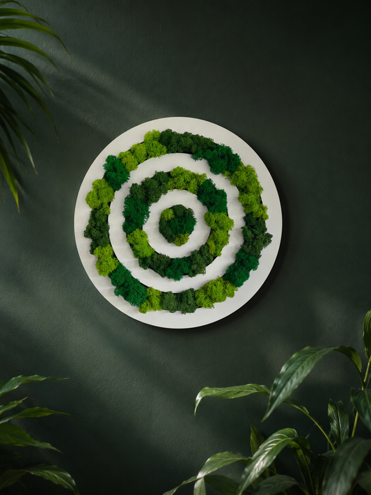 Tablou Decorativ „Moss Orbit”, Diametru: 30 cm